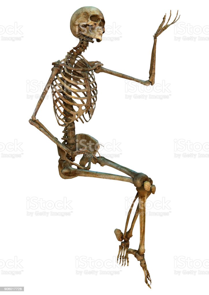 Detail Skeleton Download Nomer 55