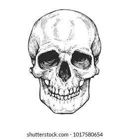 Detail Skeleton Face Images Nomer 51