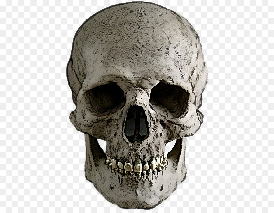 Detail Skeleton Face Png Nomer 40