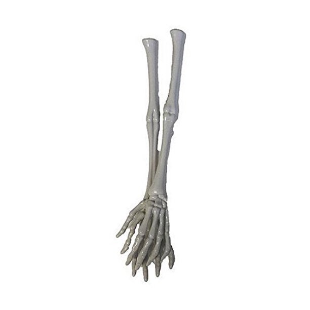 Detail Skeleton Hands Salad Servers Nomer 27