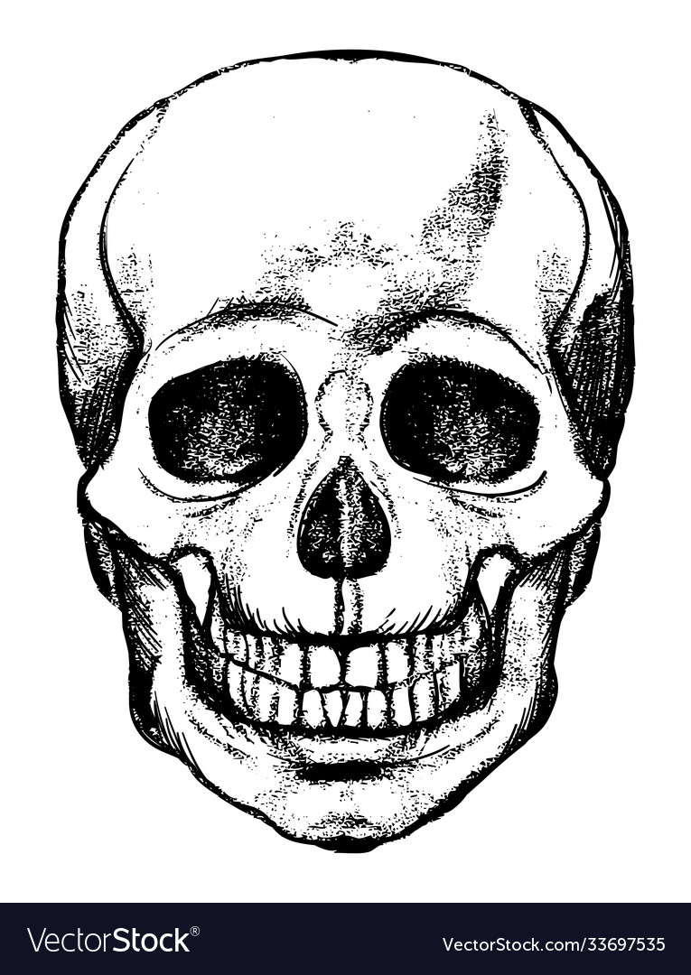 Skeleton Head Image - KibrisPDR