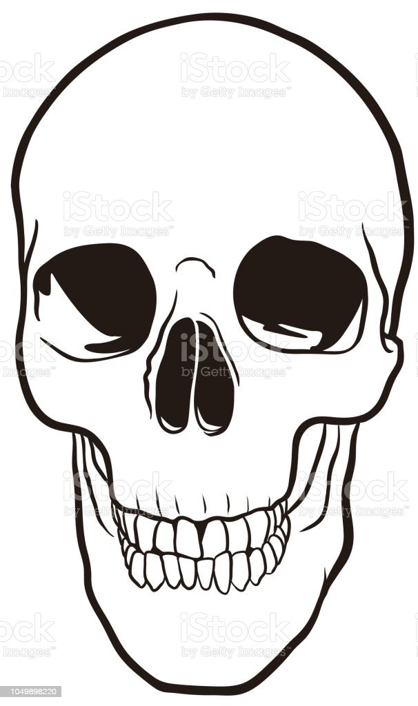 Detail Skeleton Head Image Nomer 11
