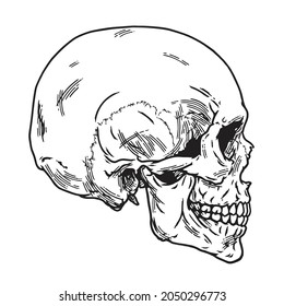 Detail Skeleton Head Image Nomer 19