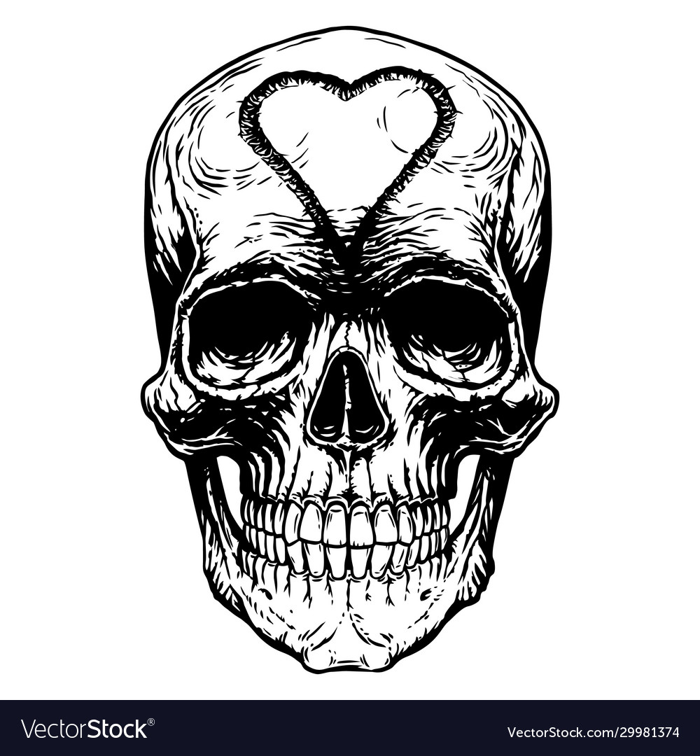 Detail Skeleton Head Image Nomer 25