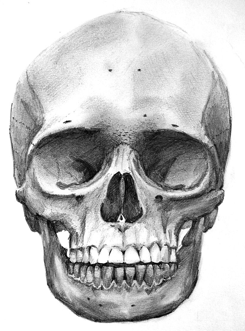 Detail Skeleton Head Image Nomer 28