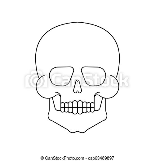 Detail Skeleton Head Image Nomer 37