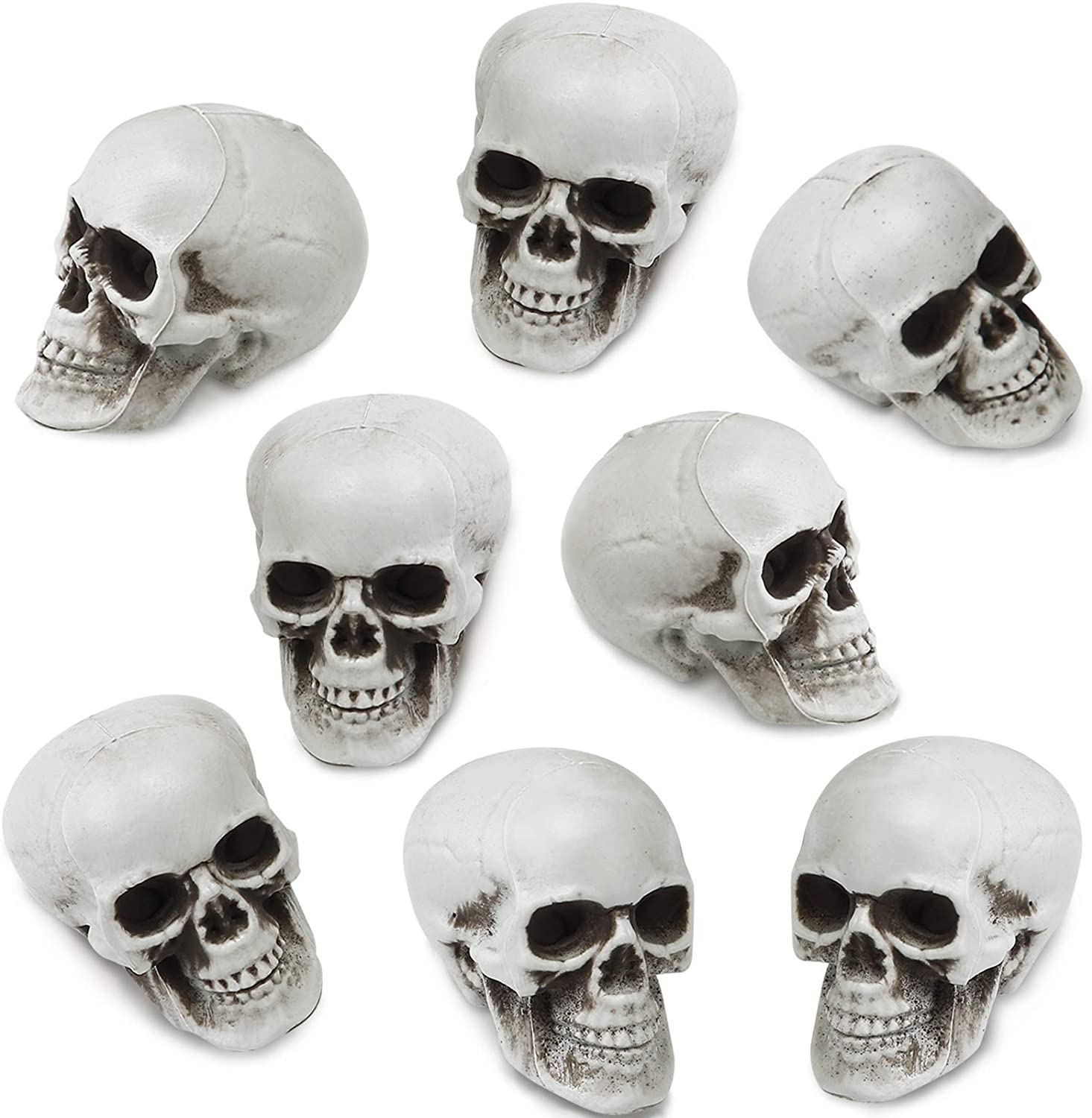 Detail Skeleton Head Image Nomer 41