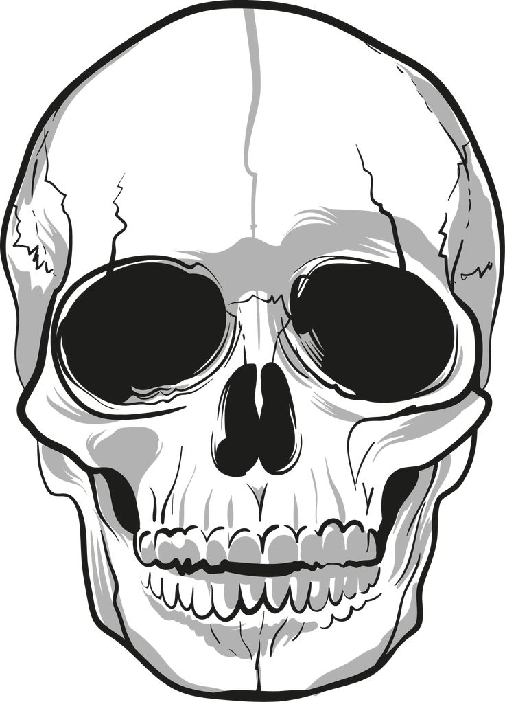 Detail Skeleton Head Image Nomer 44