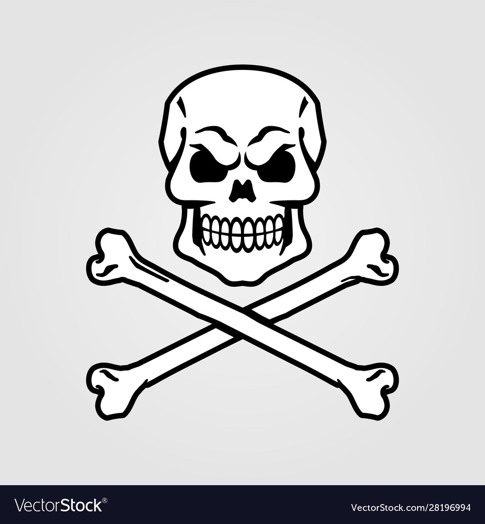 Detail Skeleton Head Image Nomer 54