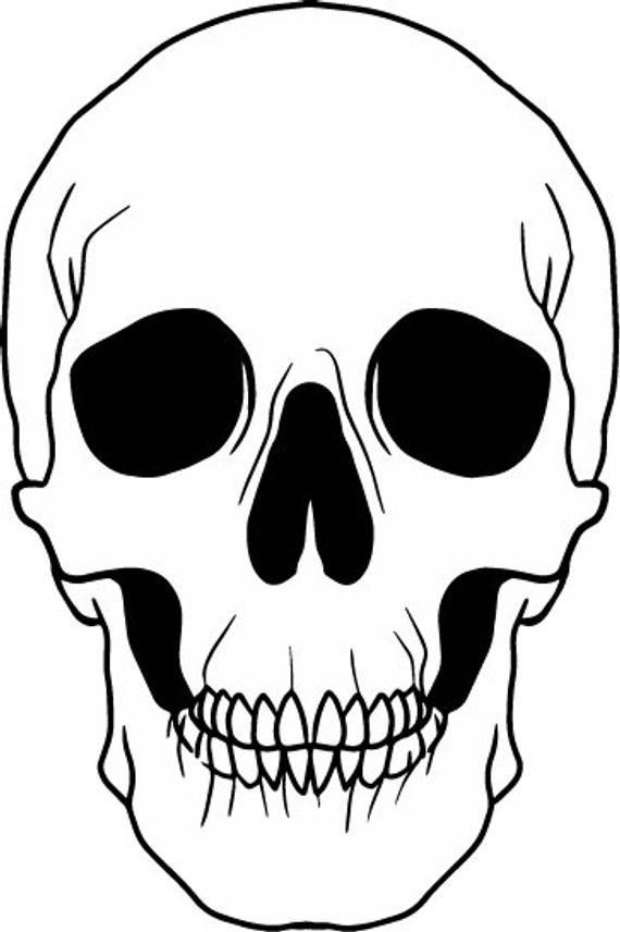 Detail Skeleton Head Image Nomer 55