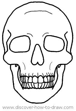 Detail Skeleton Head Image Nomer 57