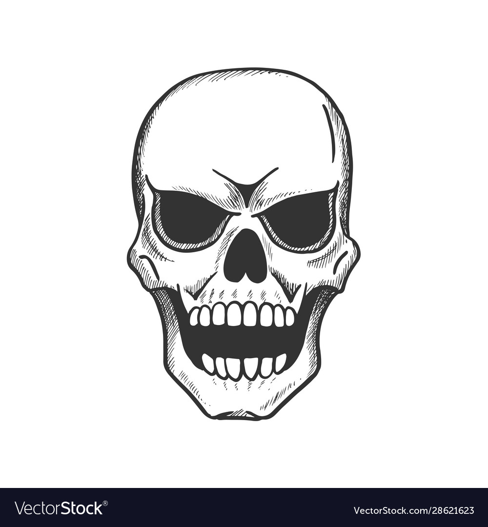 Detail Skeleton Head Image Nomer 7
