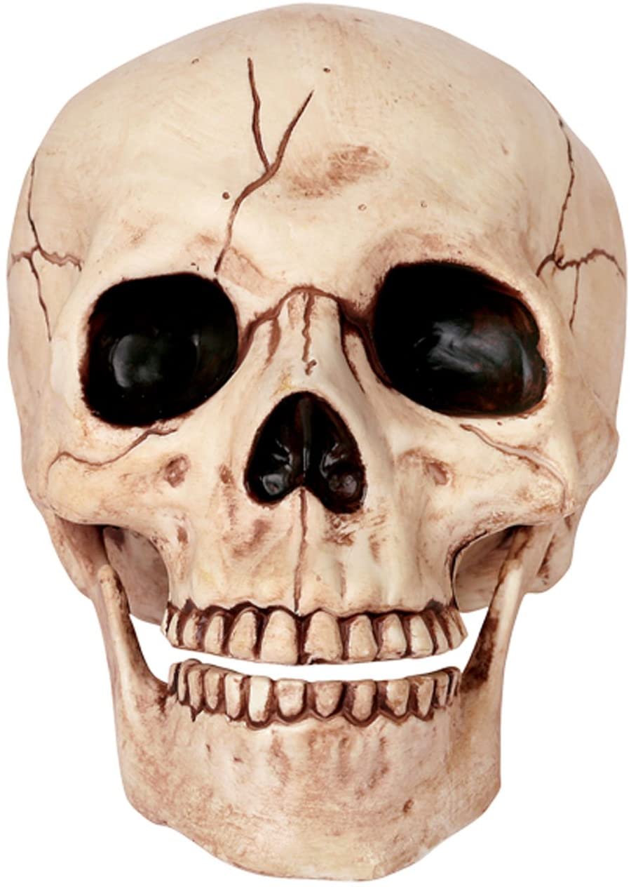 Detail Skeleton Head Image Nomer 8
