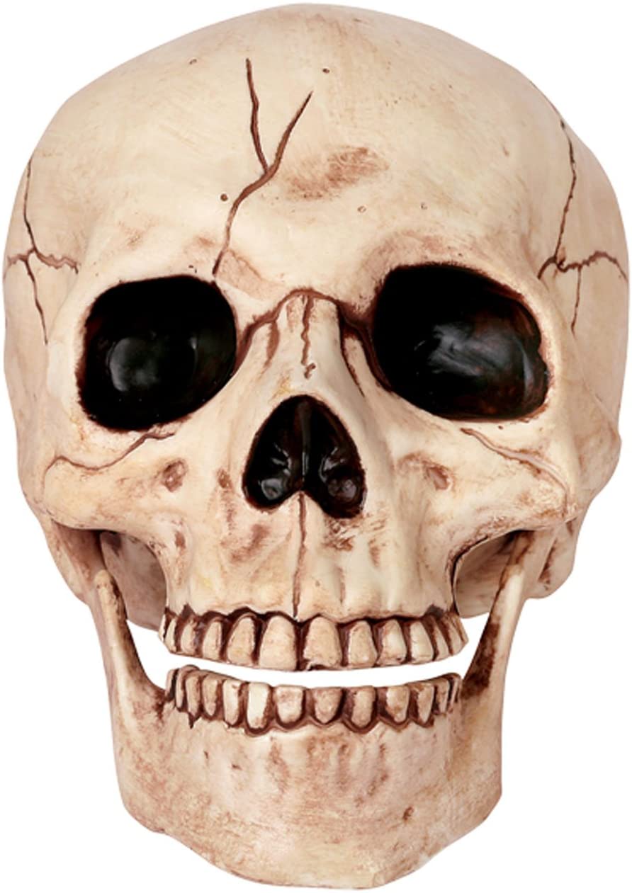 Detail Skeleton Head Images Nomer 15