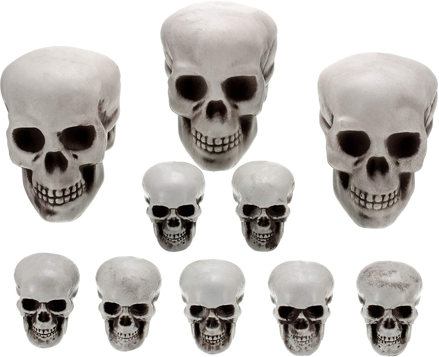Detail Skeleton Head Images Nomer 42