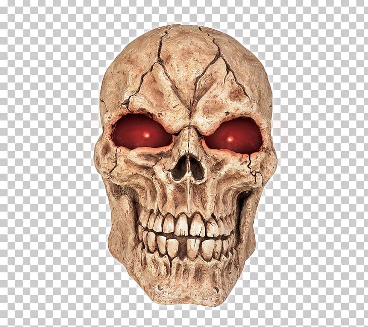 Detail Skeleton Head Png Nomer 39