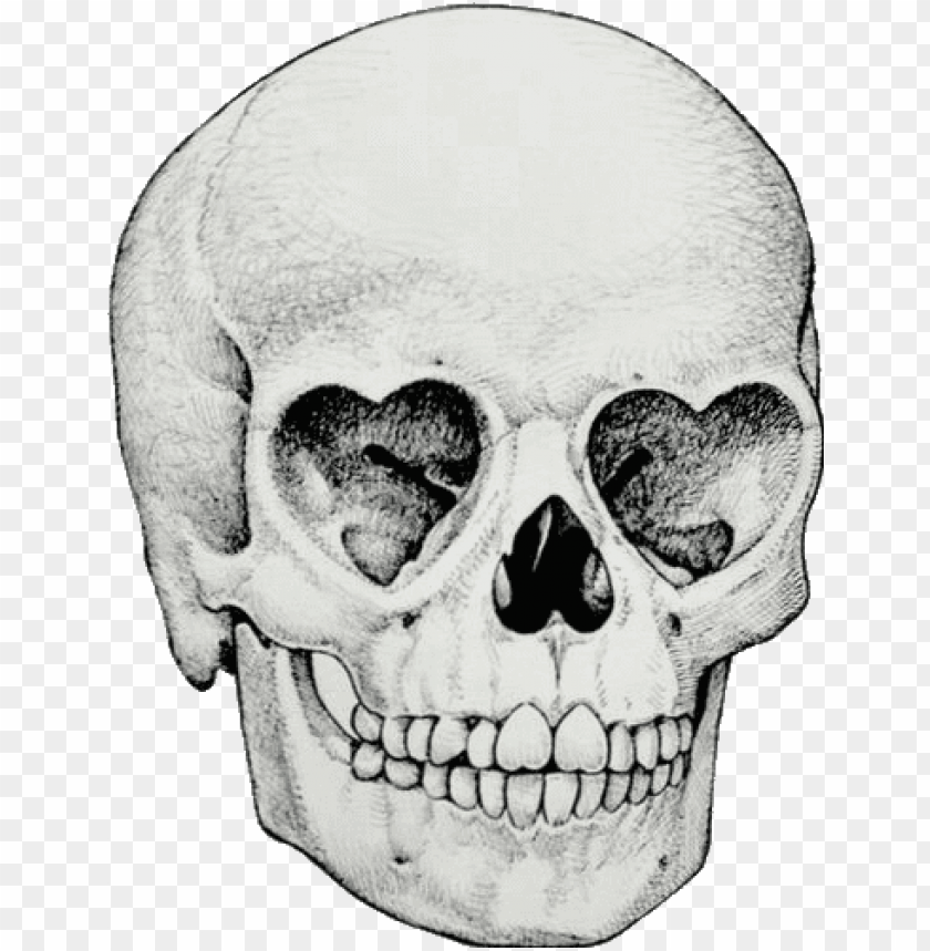 Detail Skeleton Head Png Nomer 40