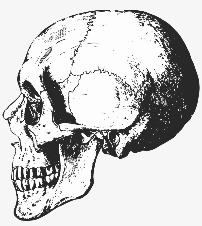 Detail Skeleton Head Transparent Nomer 33