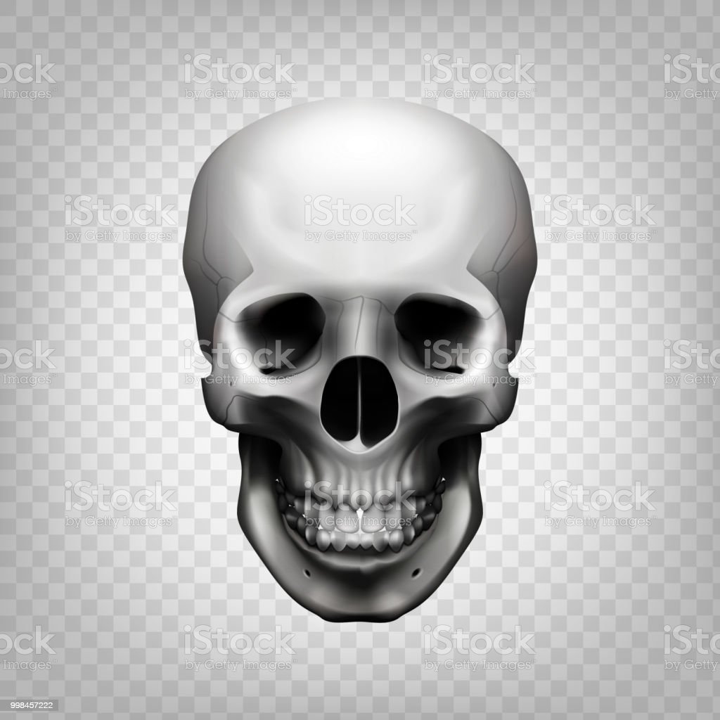 Detail Skeleton Head Transparent Nomer 42