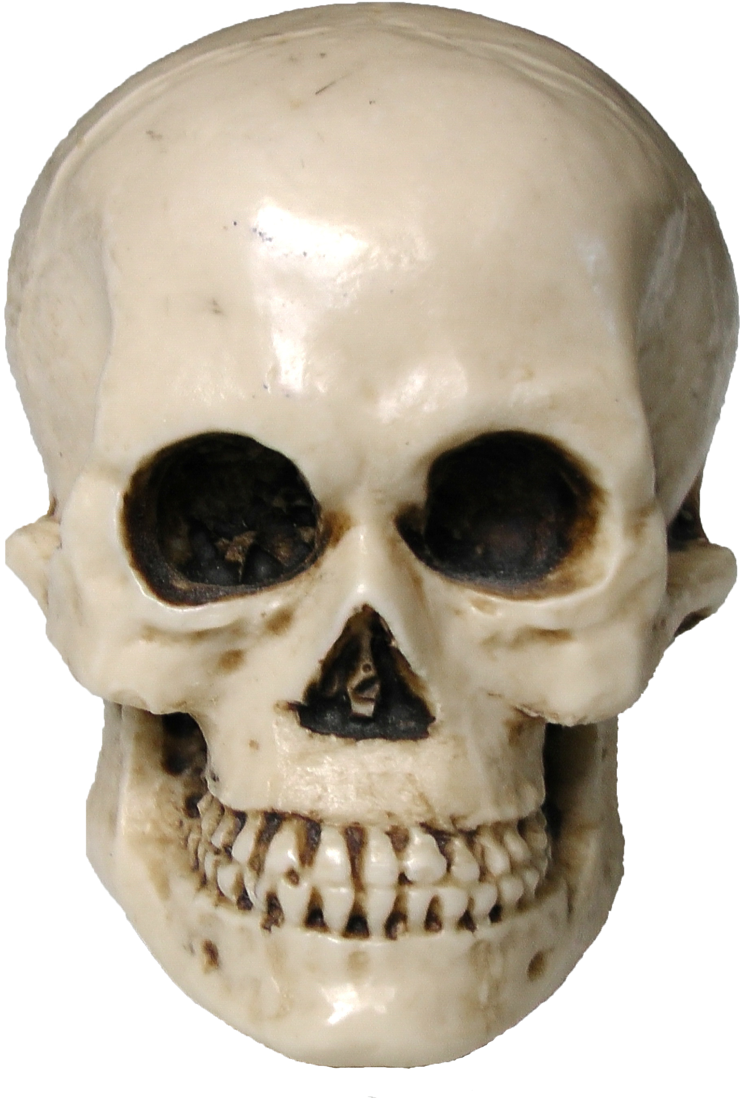 Detail Skeleton Head Transparent Nomer 49