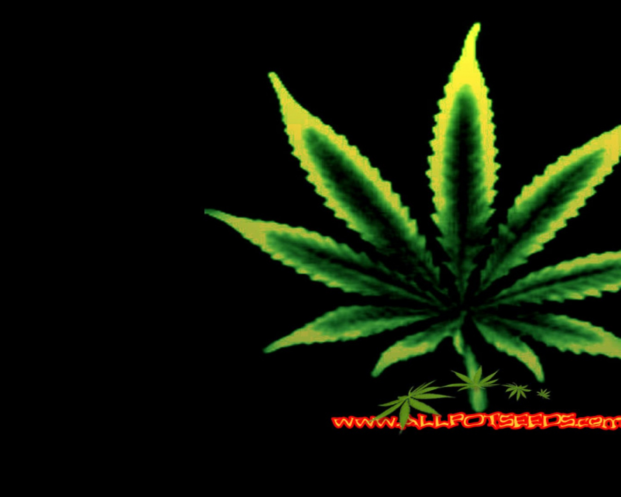 Detail Weed Plants Wallpapers Nomer 40