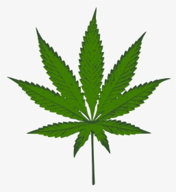 Detail Weed Transparent Background Nomer 22