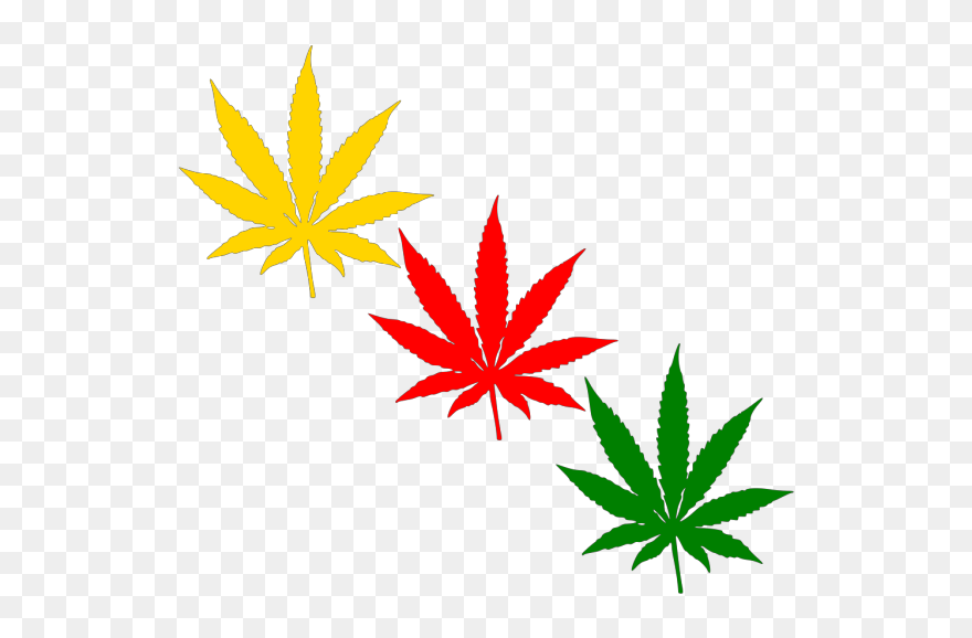 Detail Weed Transparent Background Nomer 36