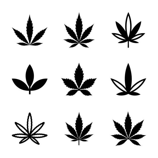 Detail Weed Vector Nomer 23