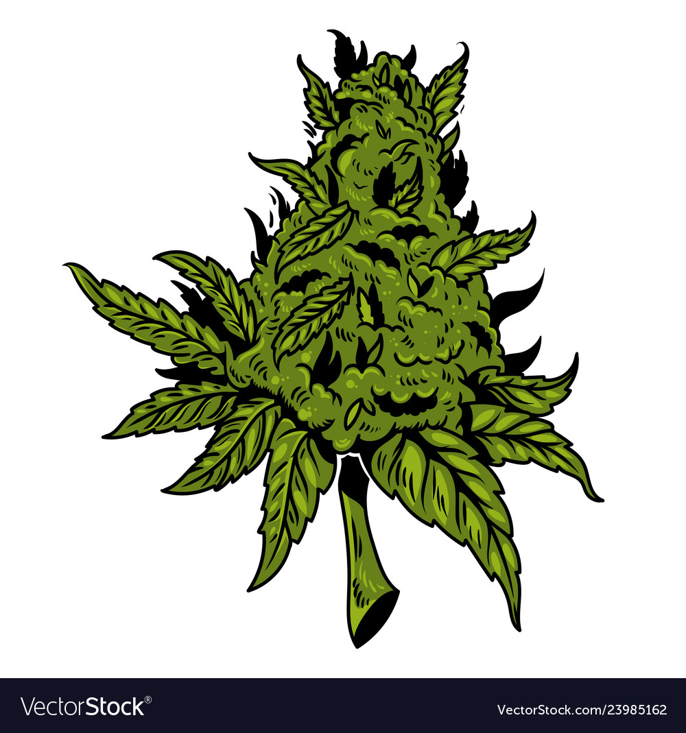 Detail Weed Vector Nomer 27