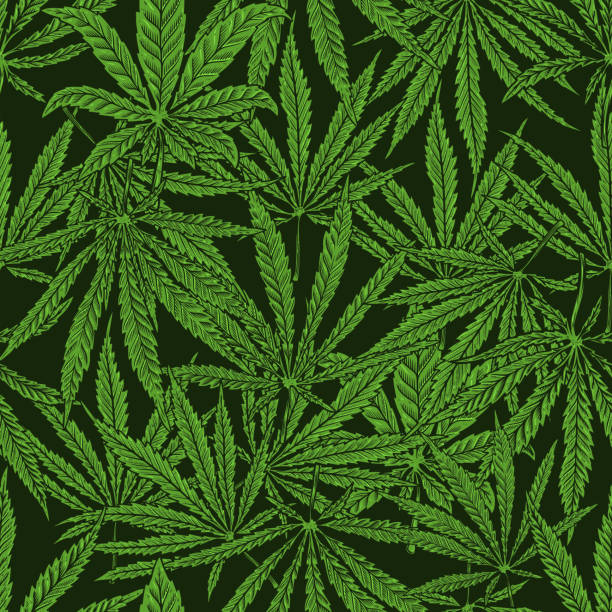 Detail Weed Vector Nomer 42