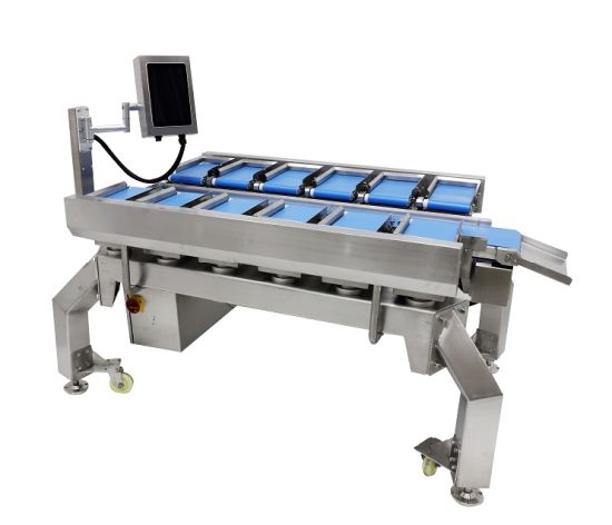 Detail Weigher Definition Nomer 15