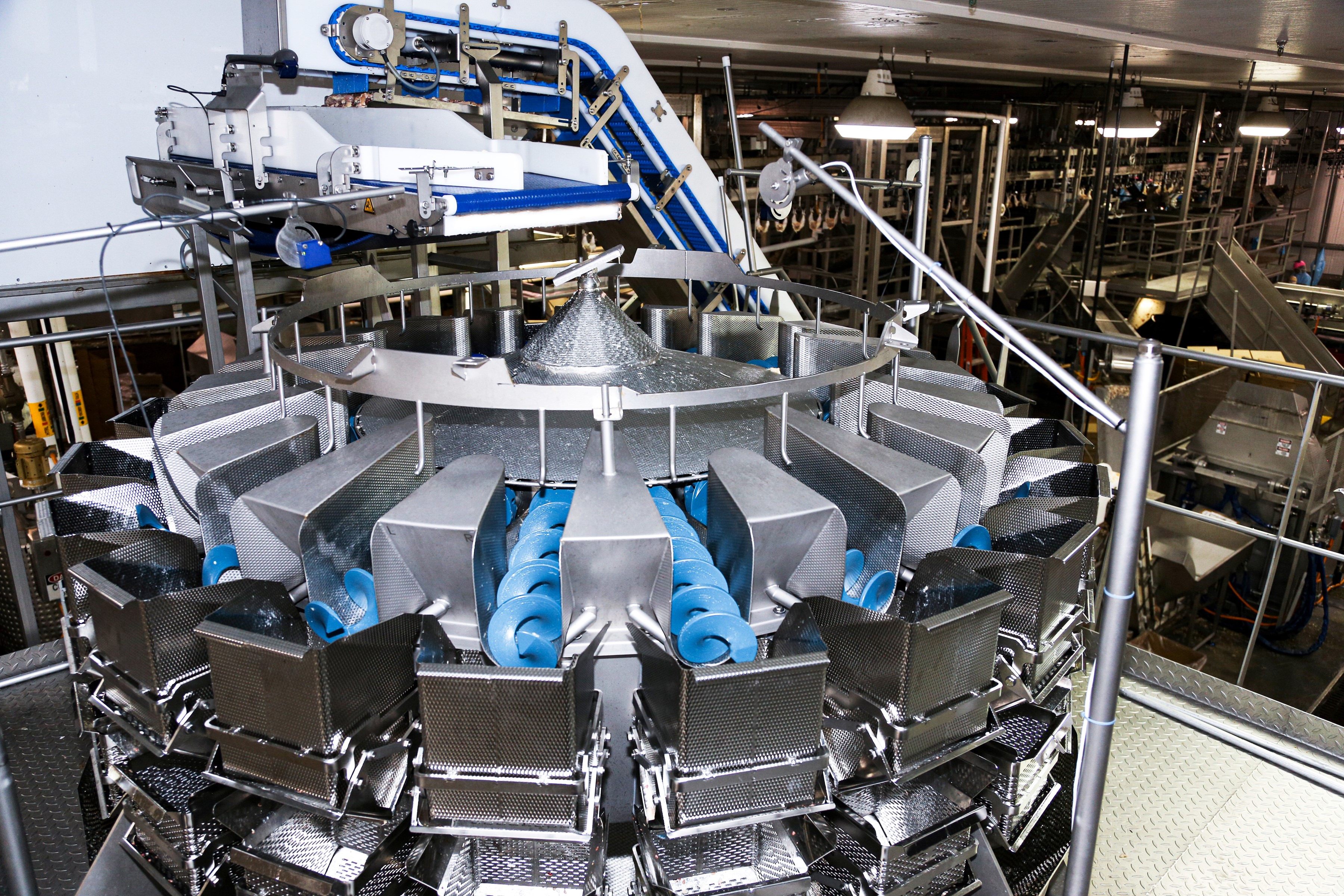 Detail Weigher Definition Nomer 21