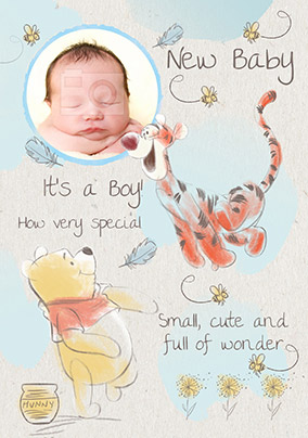 Detail Welcome Baby Boy Quotes Nomer 14