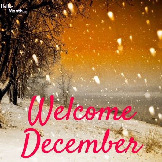 Detail Welcome December Quotes Nomer 53