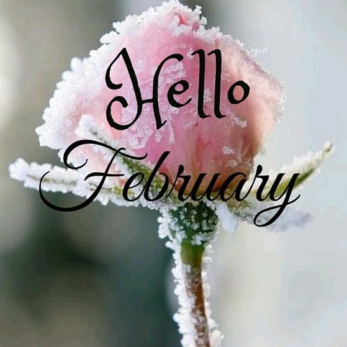 Detail Welcome February Quotes Nomer 20