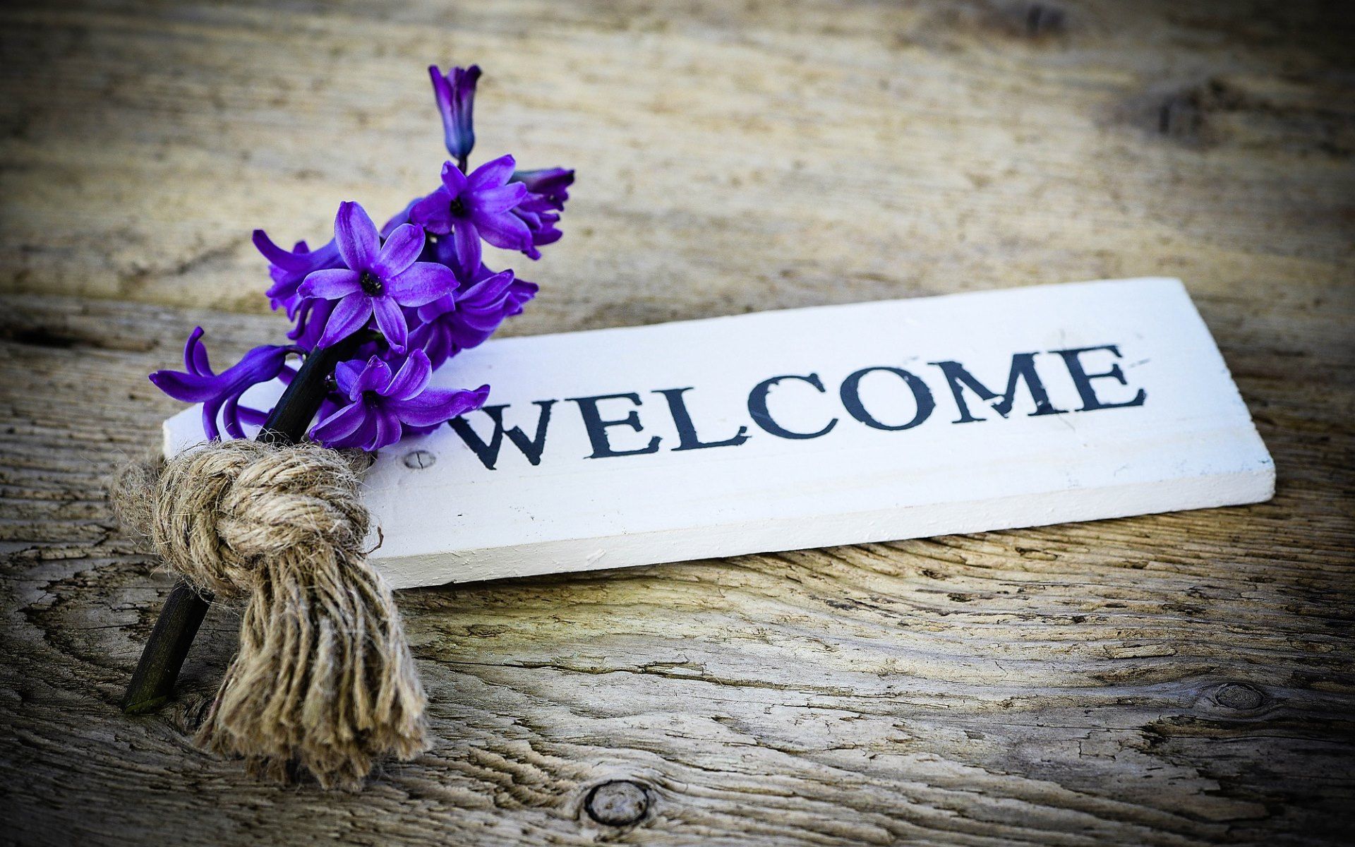 Detail Welcome Images Free Download Nomer 19