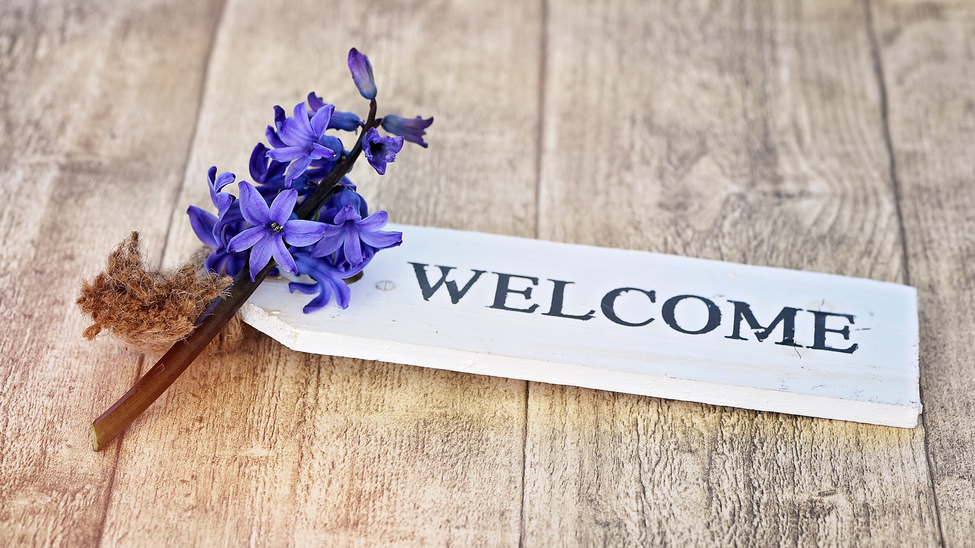 Detail Welcome Images Free Download Nomer 31
