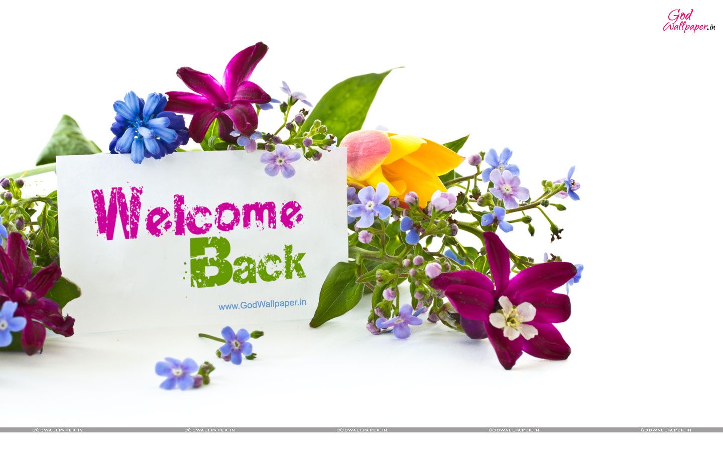 Detail Welcome Images Free Download Nomer 42