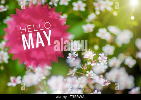 Detail Welcome May Images Free Nomer 32