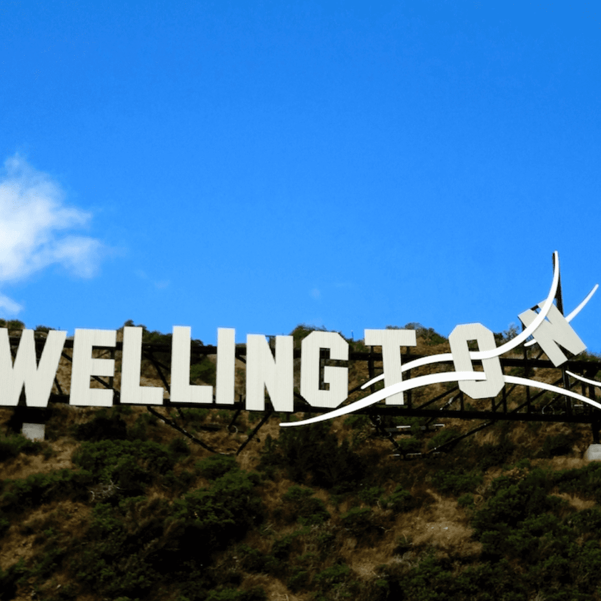 Detail Wellington Selandia Baru Nomer 24