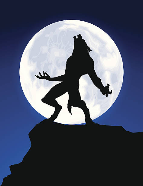 Werewolf Illustrations - KibrisPDR
