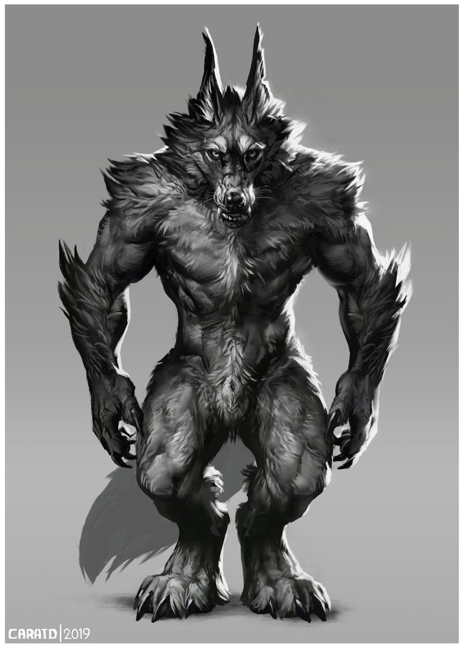Detail Werewolf Illustrations Nomer 21