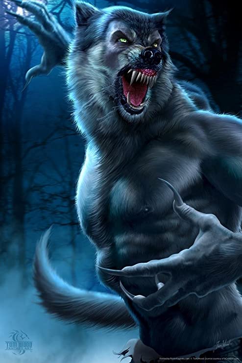 Detail Werewolf Illustrations Nomer 8