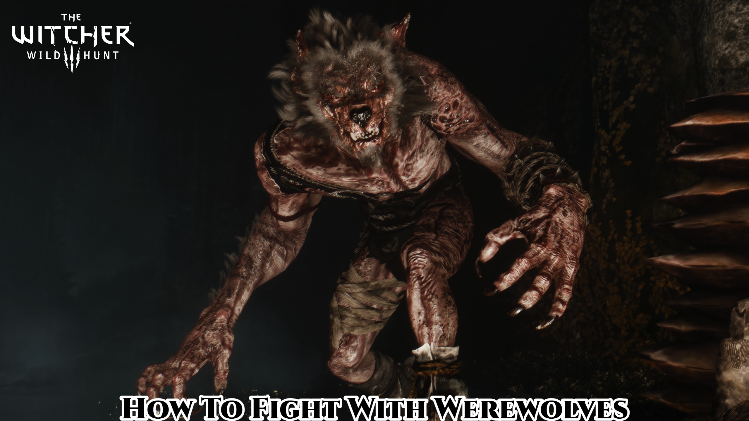 Detail Werewolf Oil Witcher 3 Nomer 11