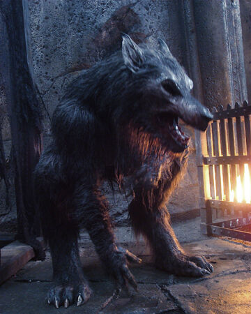 Detail Werewolf Photo Nomer 7