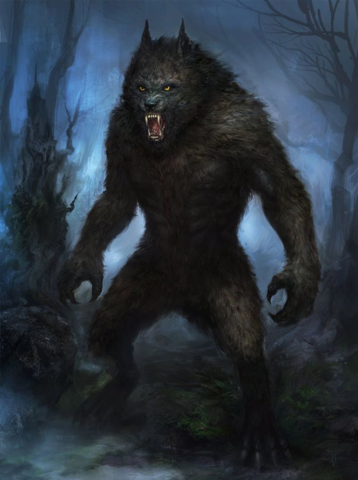 Detail Werewolf Pichers Nomer 22