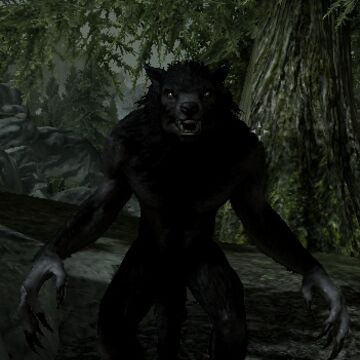 Detail Werewolf Pichers Nomer 40