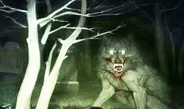 Detail Werewolf Picture Nomer 4