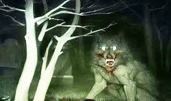 Detail Werewolf Picturs Nomer 10