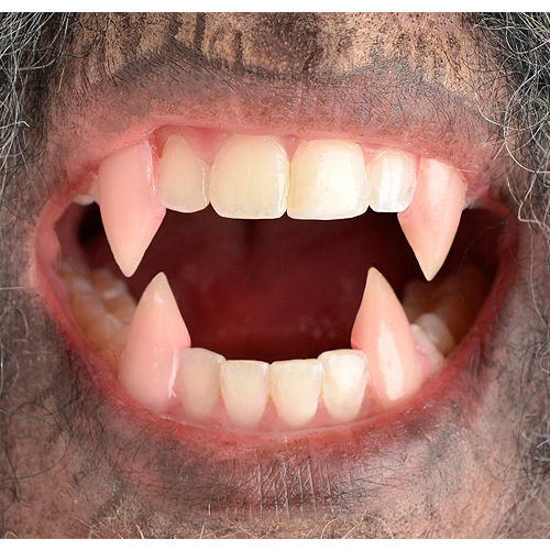 Detail Werewolf Teeth Caps Nomer 12